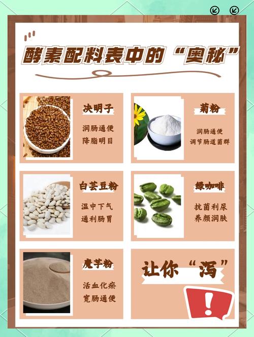 酵素配什么吃能减肥