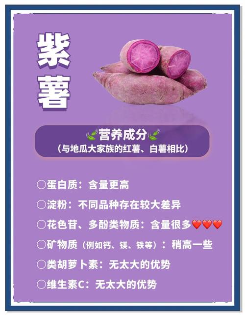 紫薯什么时候吃减肥