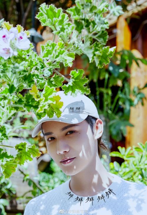 森田最新代言人