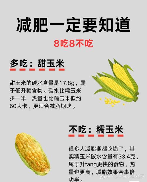 小分子为什么可以减肥