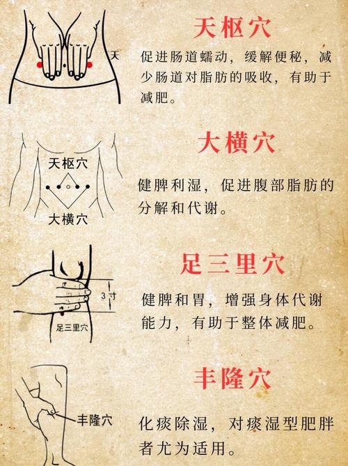 艾灸减肥灸什么穴位