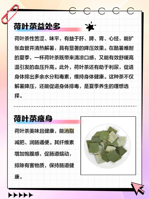 荷叶茶什么时候喝减肥