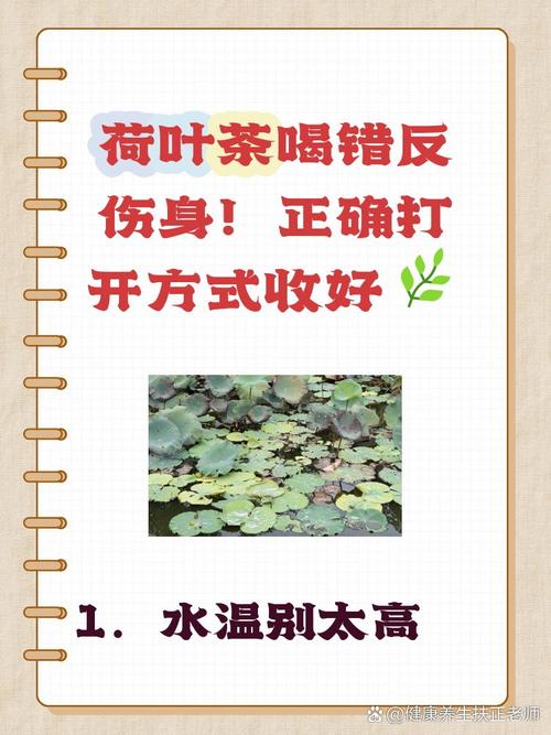 荷叶茶什么时候喝减肥