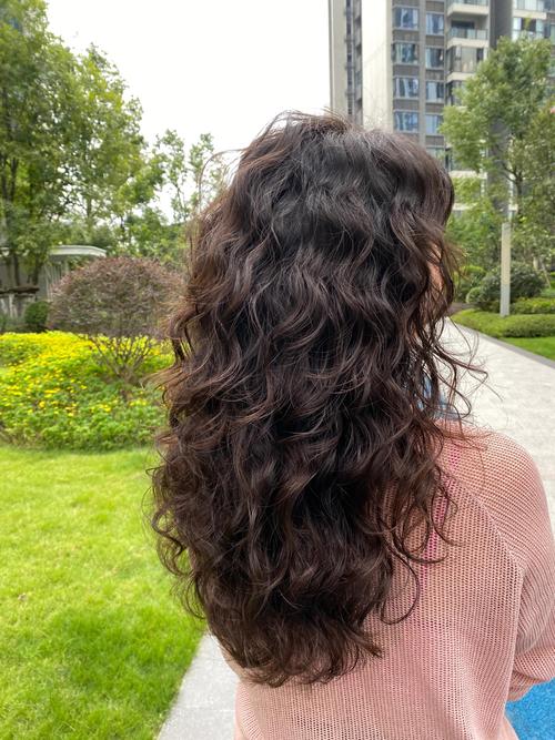 头发为什么会变卷