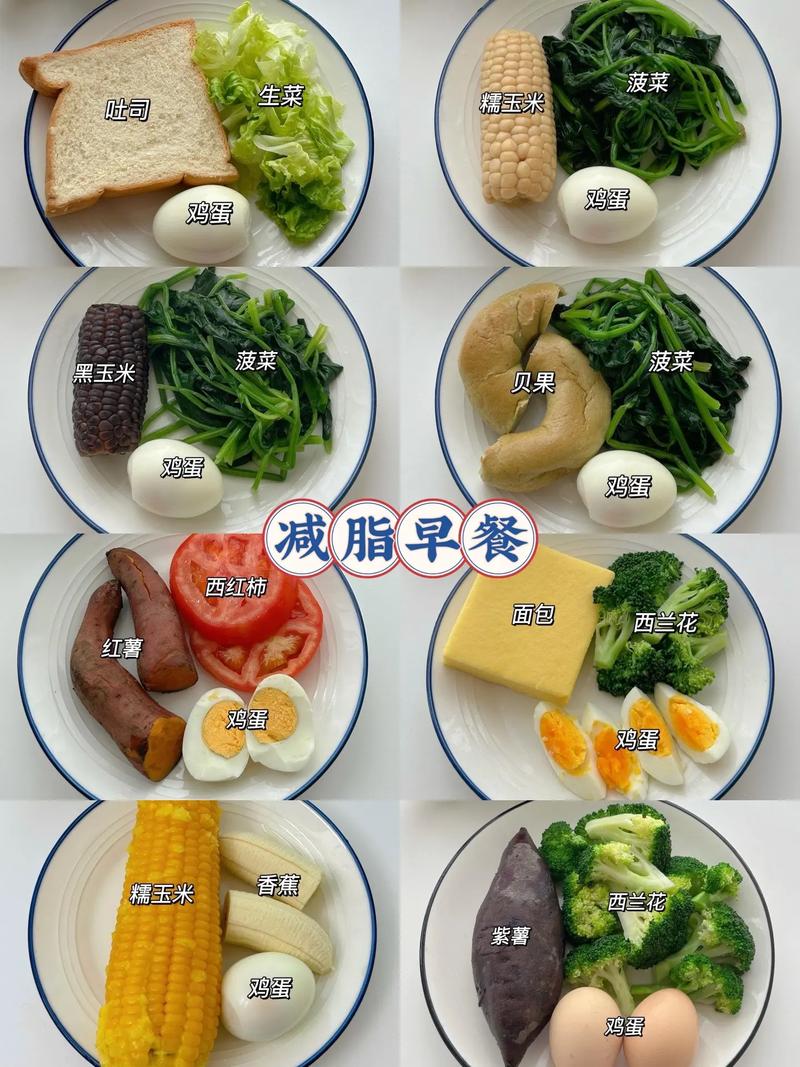 减肥饿了吃什么