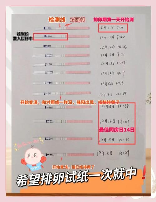排卵试纸什么时候用