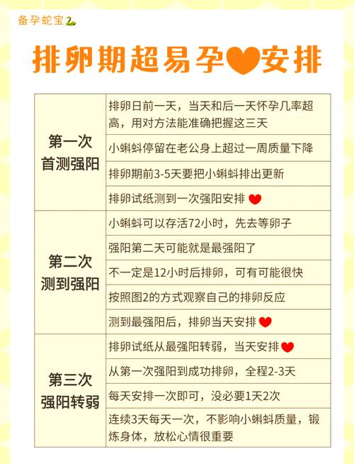 排卵试纸什么时候用