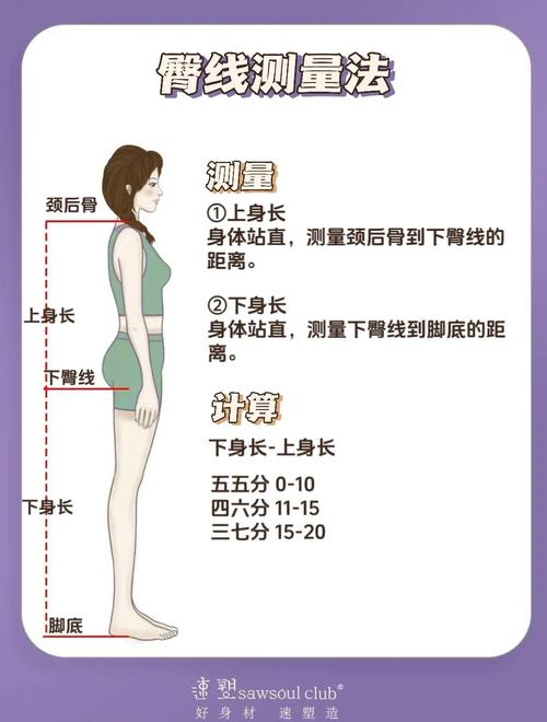 为什么腿短身子长