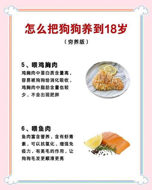 狗狗减肥吃什么