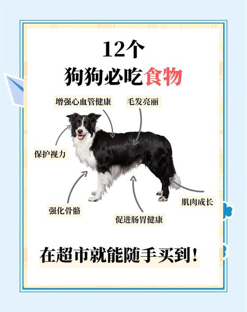 狗狗减肥吃什么