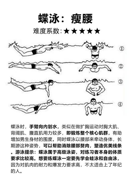 什么游泳姿势能减肥