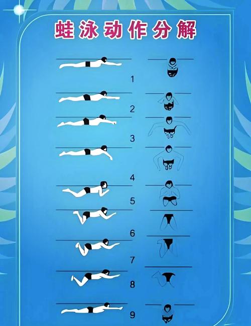 什么游泳姿势能减肥