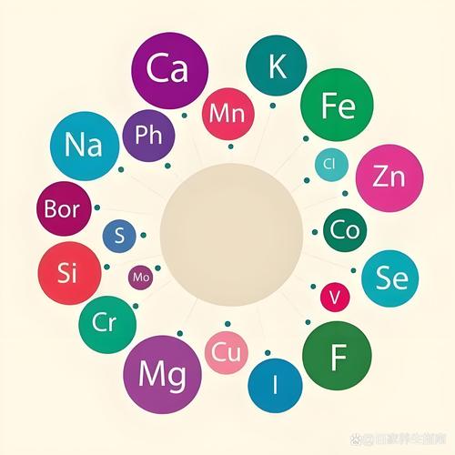 微量元素什么东西