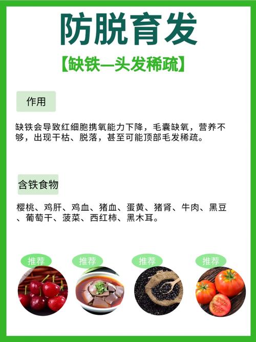 微量元素什么东西