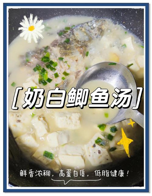 减肥喝什么鱼汤好