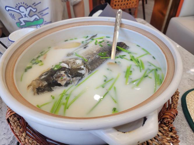 减肥喝什么鱼汤好