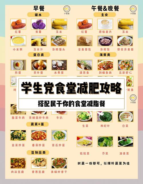 中午学生吃什么会减肥