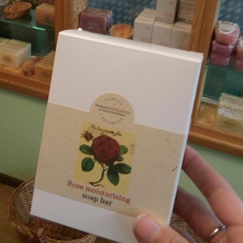 菠丹妮最新产品