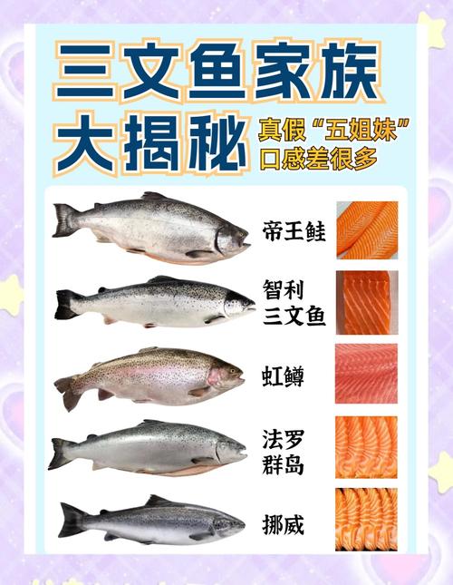 三文鱼有什么功效