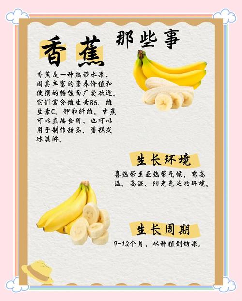 香蕉为什么减肥