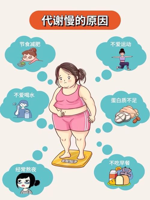 为什么减肥减的很慢