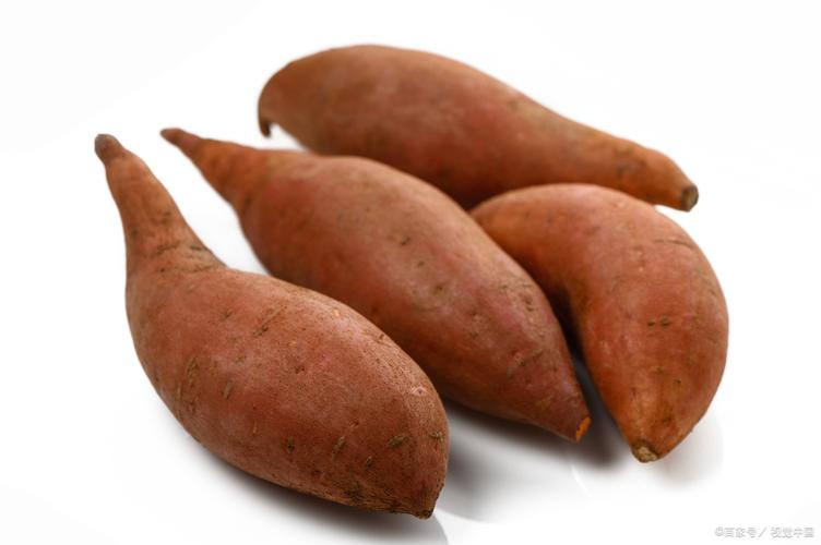 什么时候吃地瓜最减肥