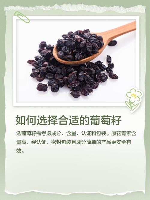 最新对葡萄籽看法