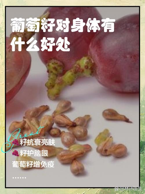 最新对葡萄籽看法