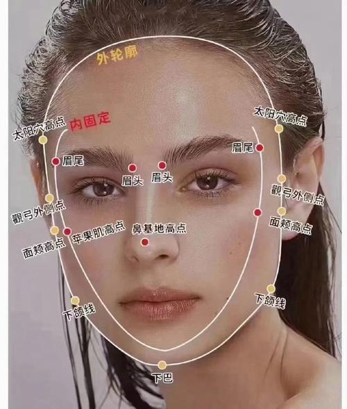 脸的轮廓叫什么