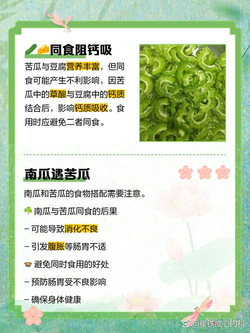 苦瓜配什么能减肥吗