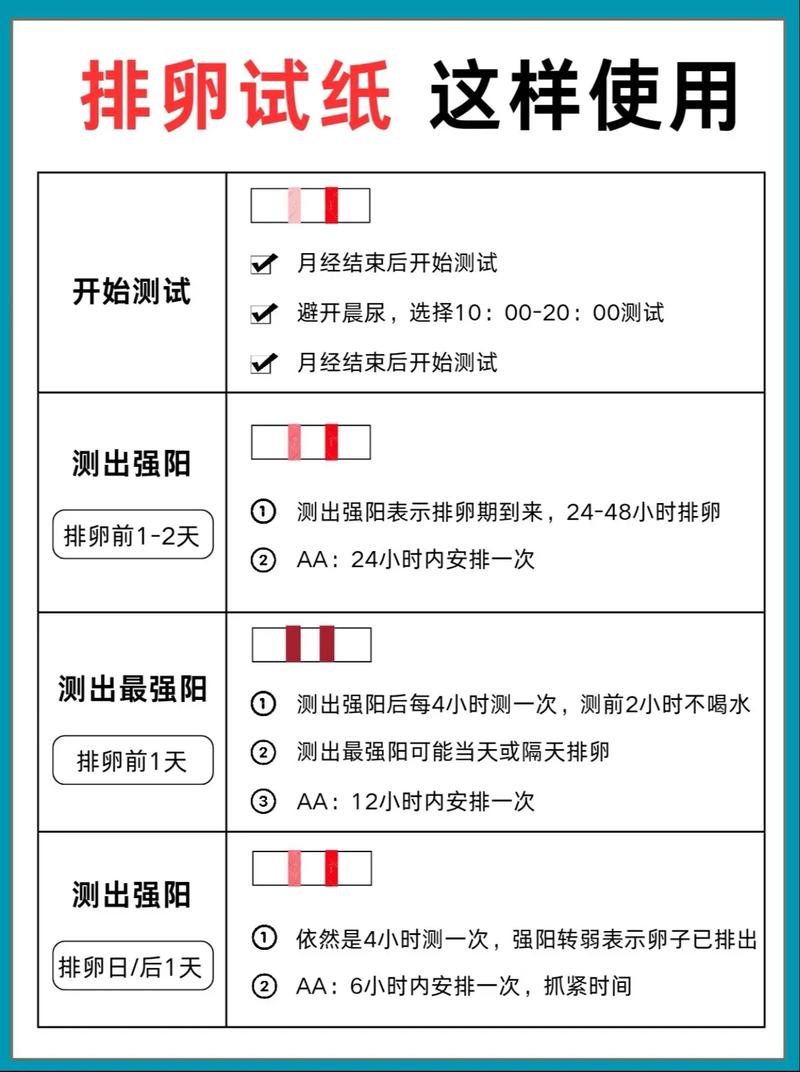 什么时候用排卵试纸