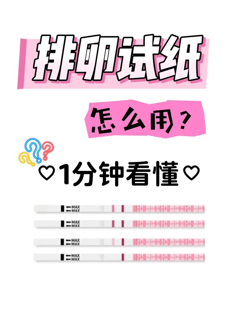 什么时候用排卵试纸
