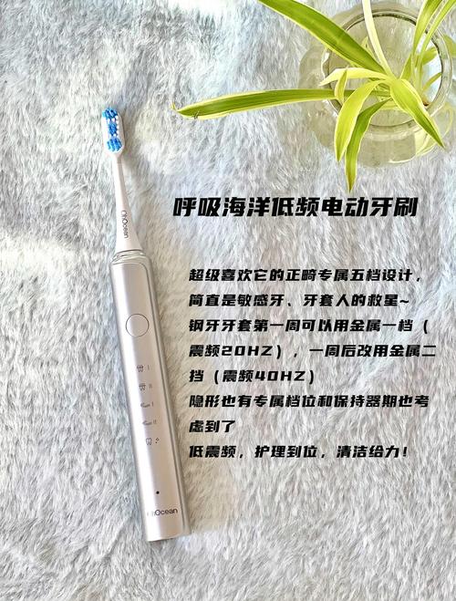 戴牙套用什么牙刷