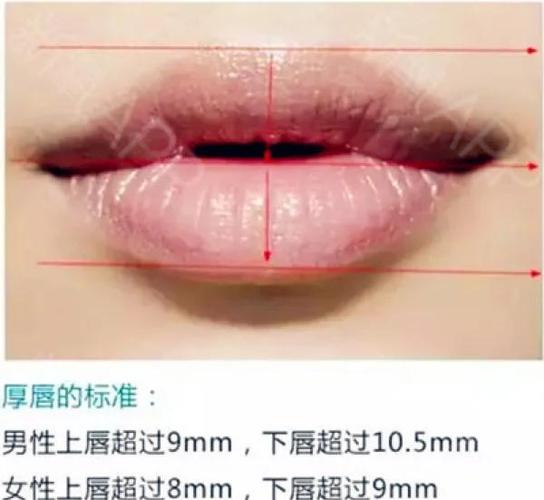 为什么唇变厚