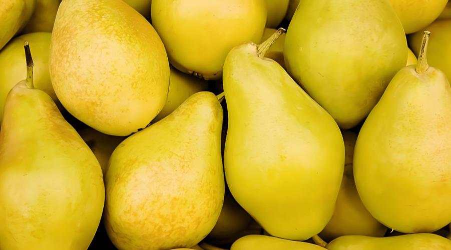 口干舌燥吃什么水果