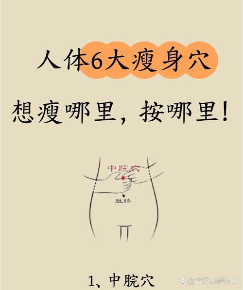 推拿什么地方可以减肥