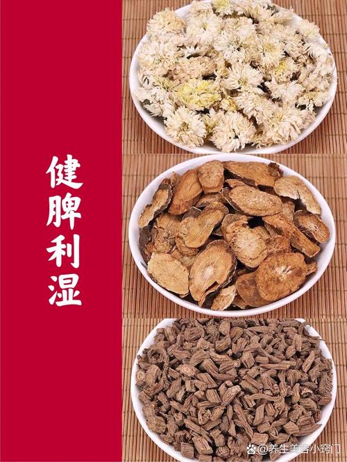 什么药草可以减肥