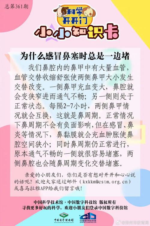 鼻塞头疼是什么感冒