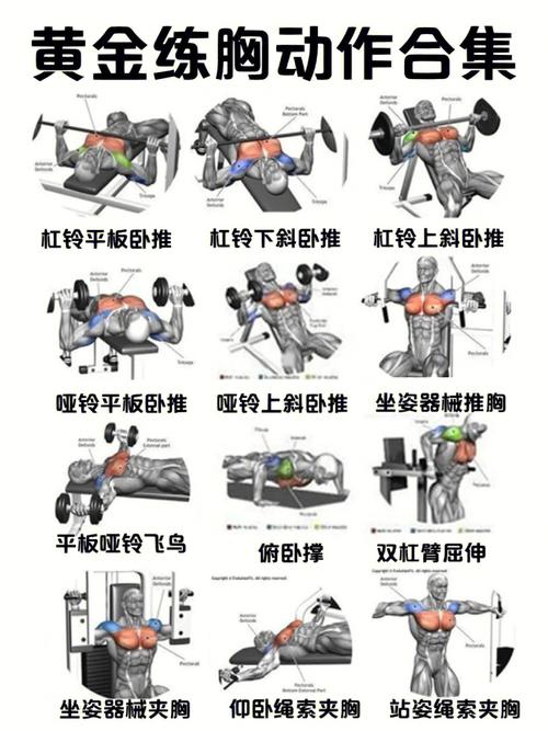 什么动作可以丰胸