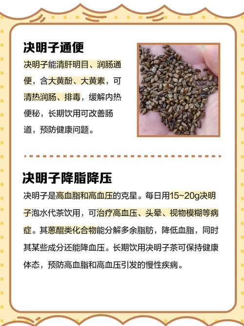 决明子和什么喝减肥