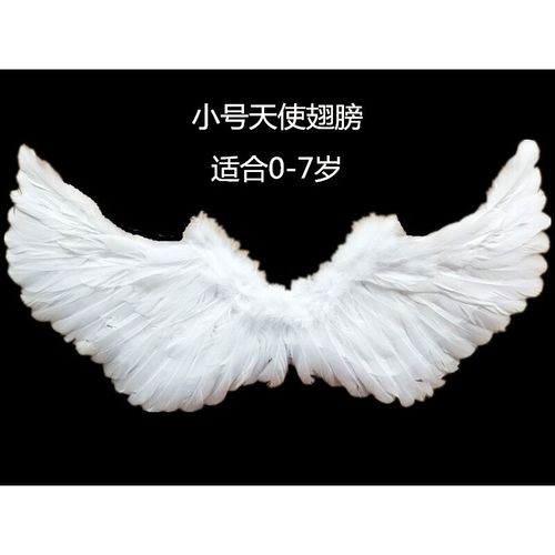 最新天使翅膀价格