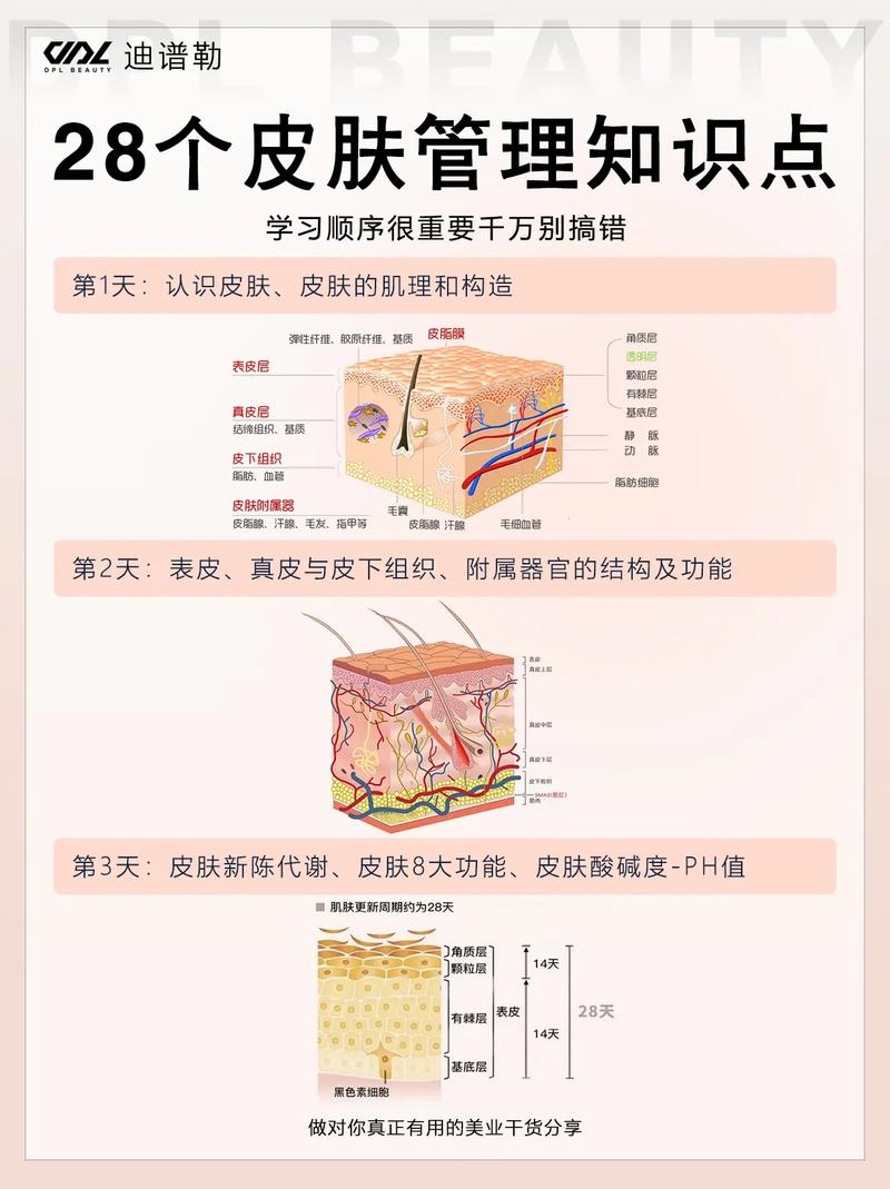 最新皮肤管理知识