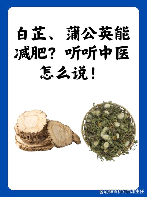 喝什么草药减肥法