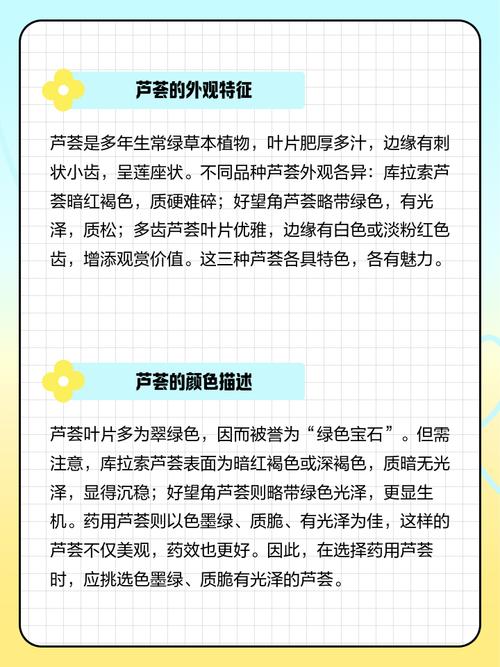 芦荟有什么特点