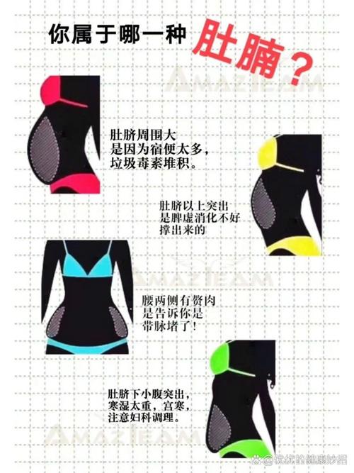 女人为什么肚子大