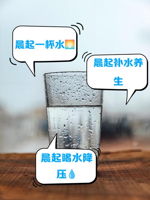 晨起喝什么水减肥