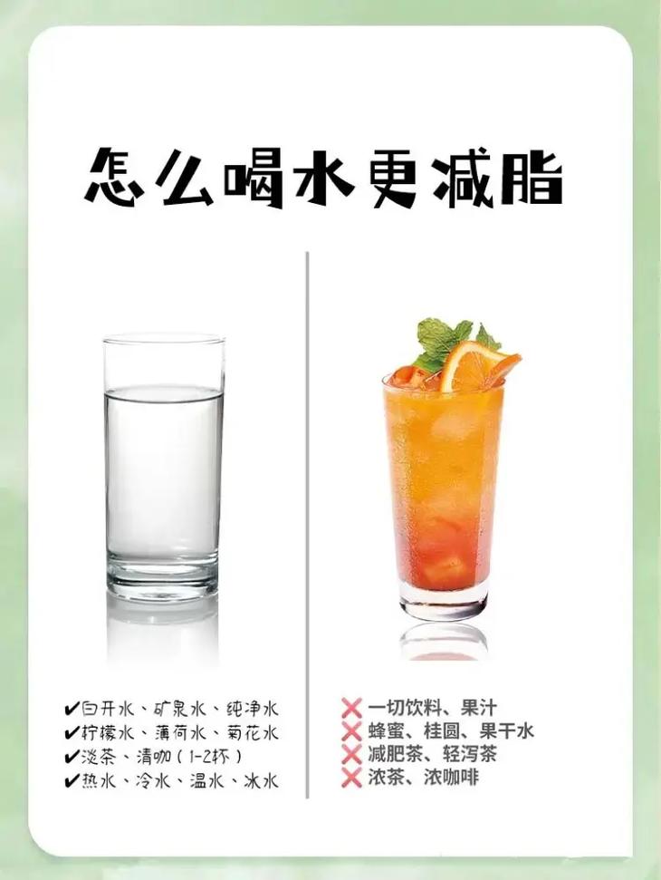 晨起喝什么水减肥