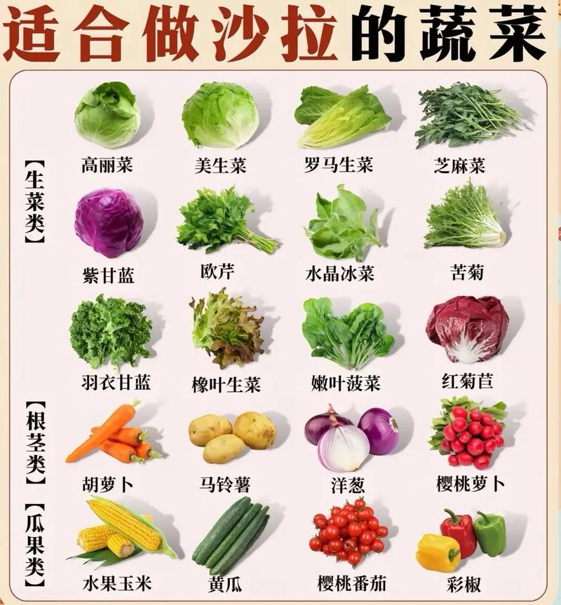 常吃什么蔬菜可以减肥吗