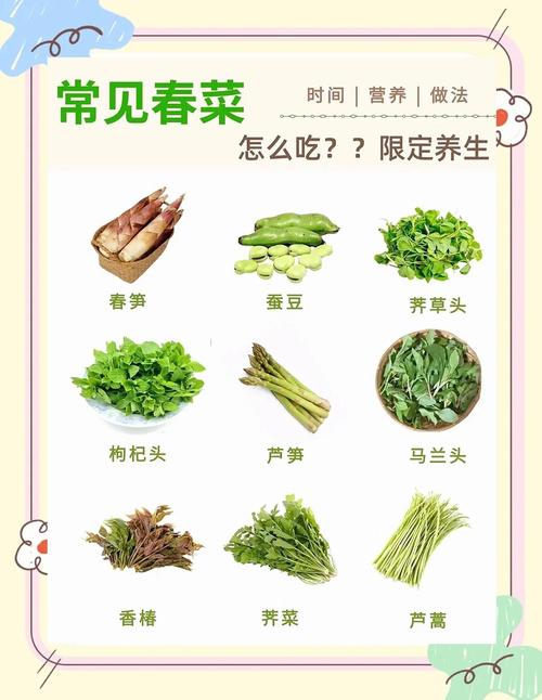 春季吃什么蔬菜减肥快