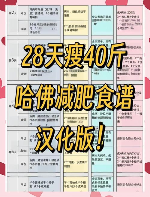 吃什么一天减肥40斤